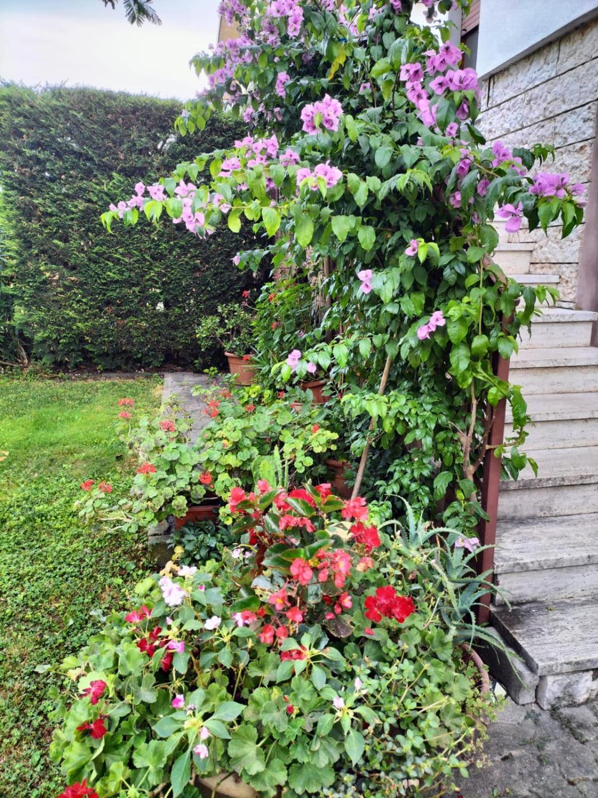 casa belvedere Monzambano Eksteriør bilde